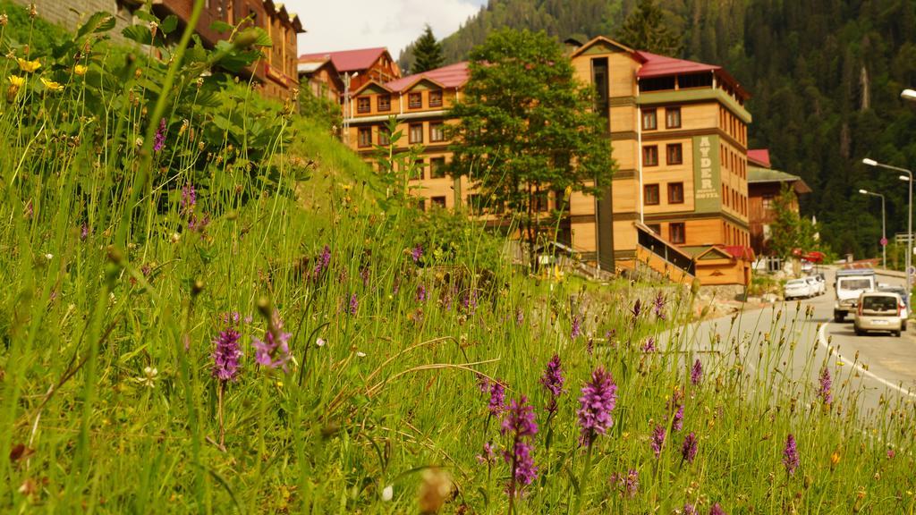 Ayder Resort Hotel Ризе Экстерьер фото